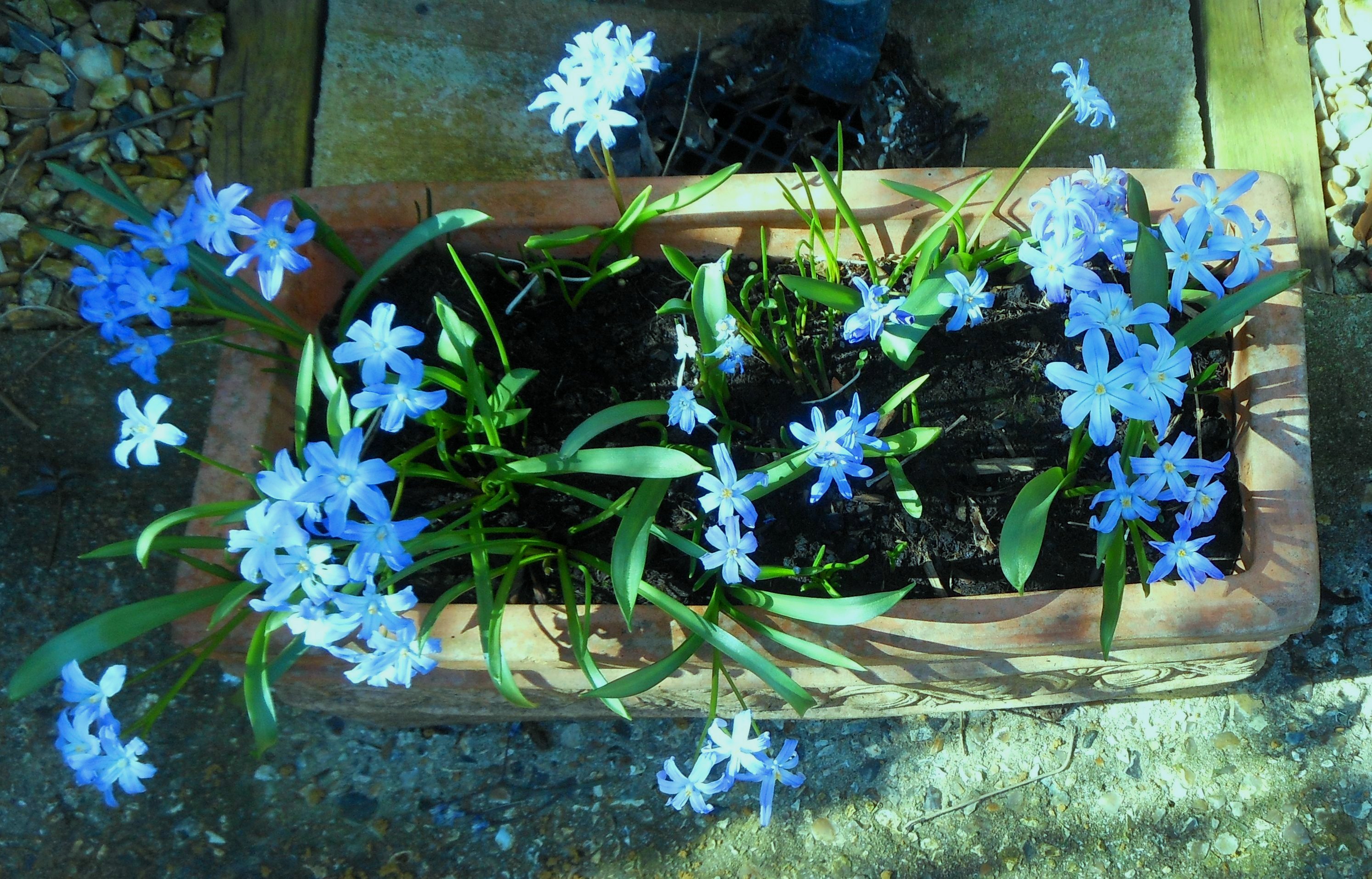 Blog/April 20 Blog pic 5